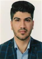آرش محمدی نافچی (دکترای حسابداری)